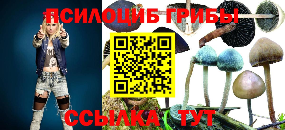 Галлюциногенные грибы ЛСД  Вход с VPN  Нерюнгри 